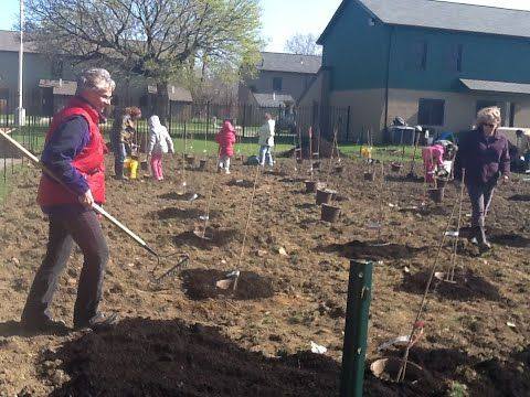 Group of people planting
